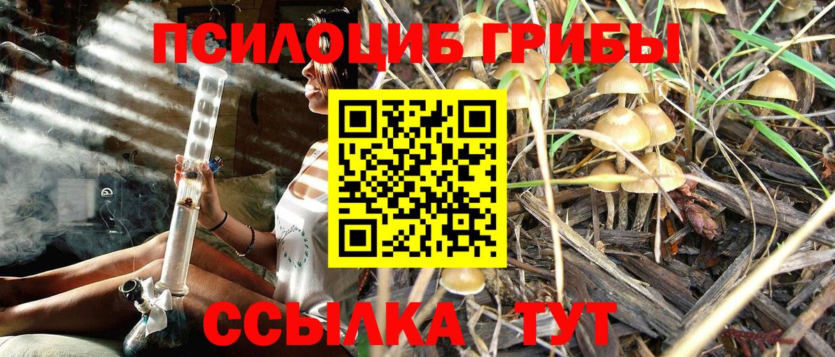 Галлюциногенные грибы мицелий Ставрополь